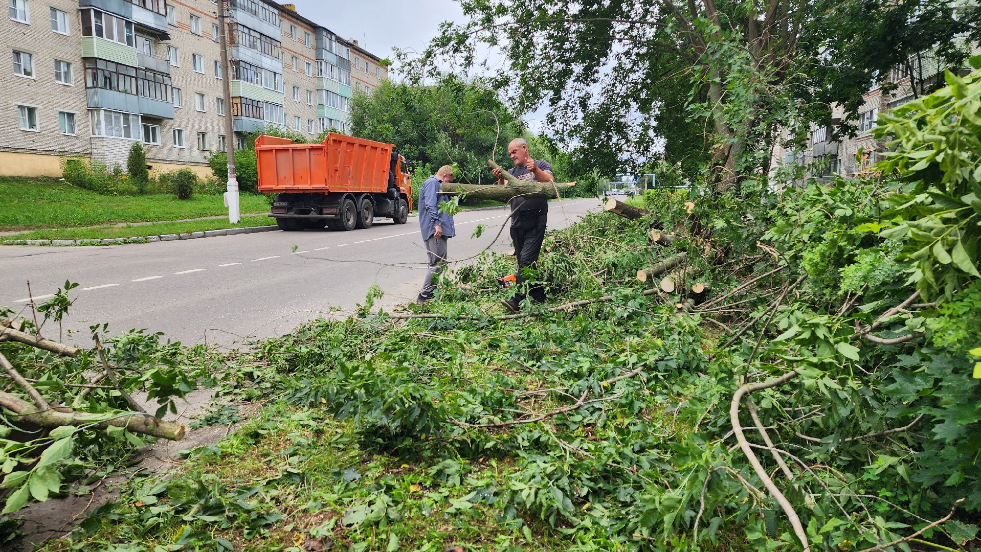 план добрых дел, благоуйстройство, Рошаль,Большая Шатура,