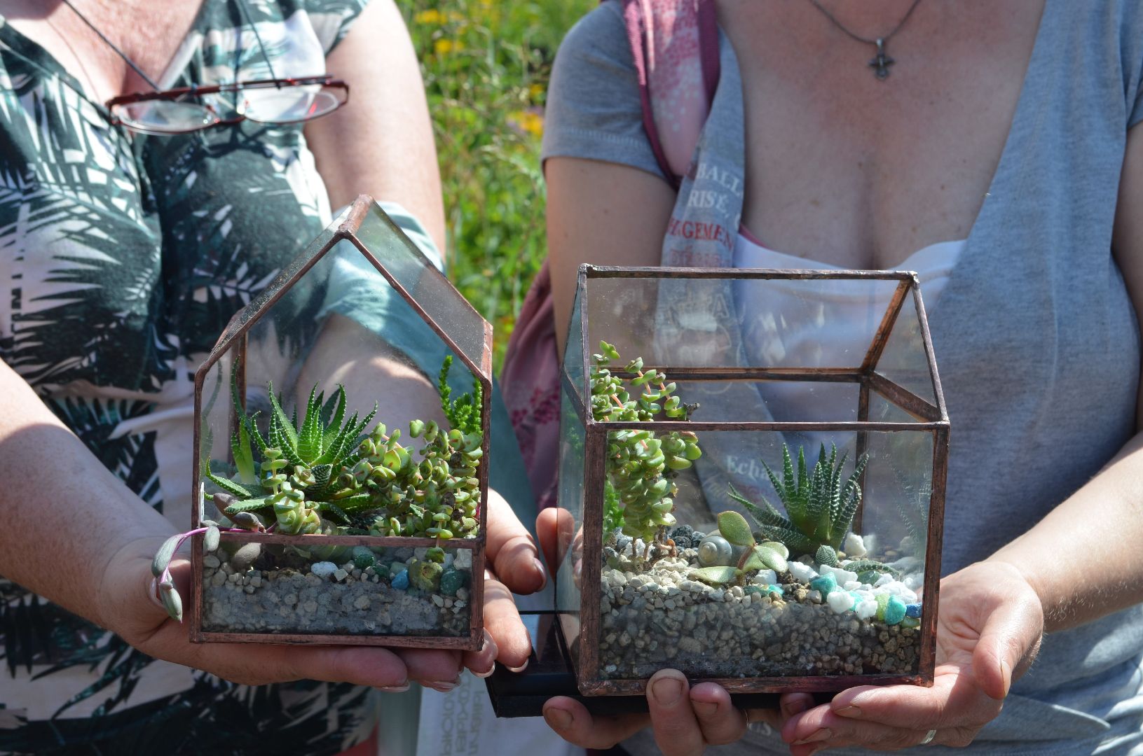 Черноголовка, Мастер классы, растения, навыки