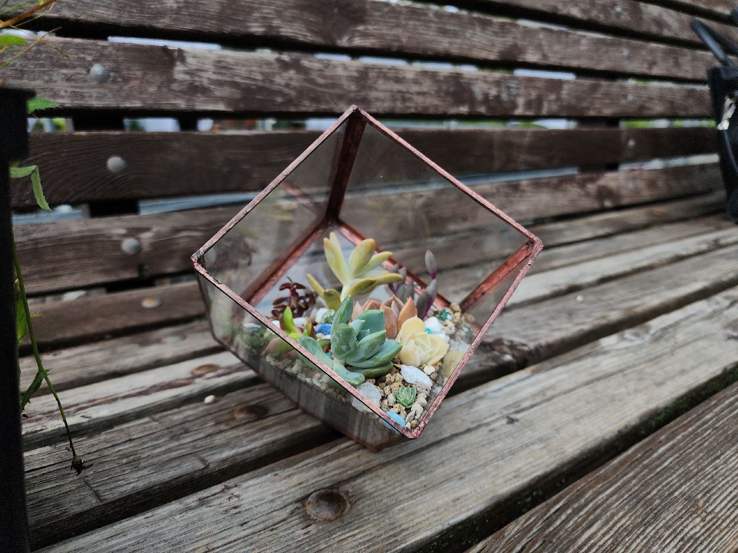 Черноголовка, Мастер классы, растения, навыки