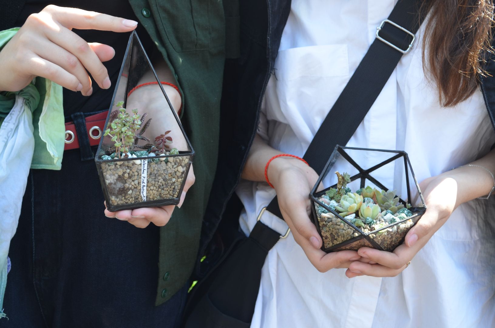 Черноголовка, Мастер классы, растения, навыки