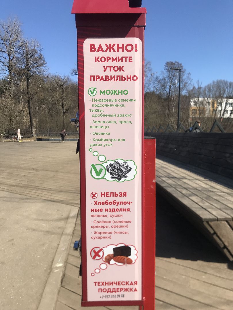 Балашиха, Подмосковье, парки, корм, утки, река, благоустройство