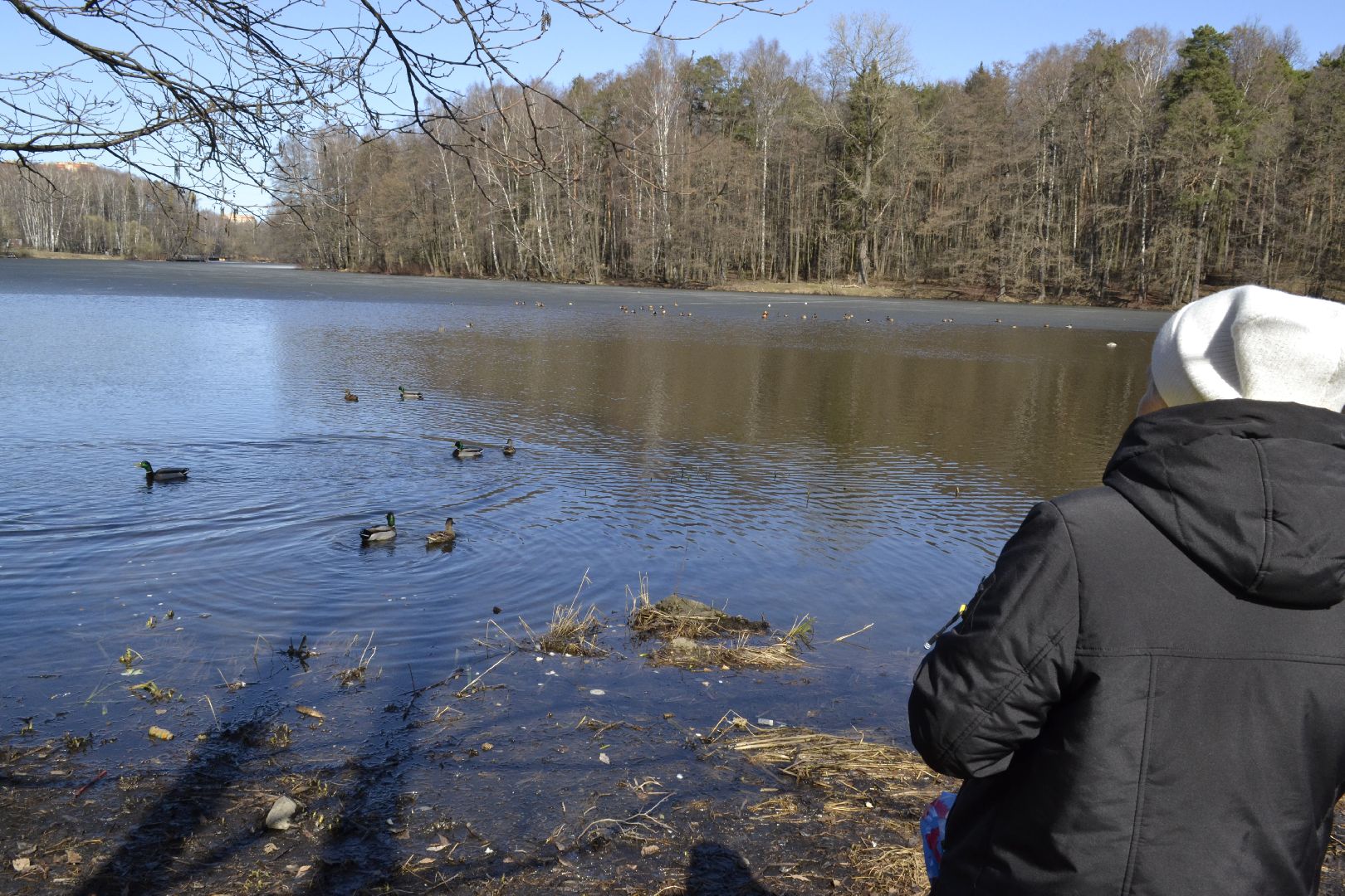 Балашиха, Подмосковье, парки, корм, утки, река, благоустройство