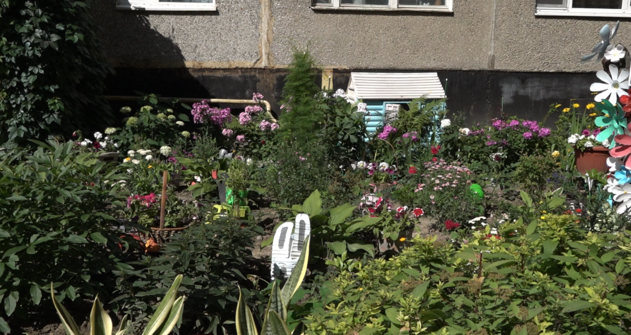 мой двор - моя гордость, подведение итогов, клумбы Домодедова,