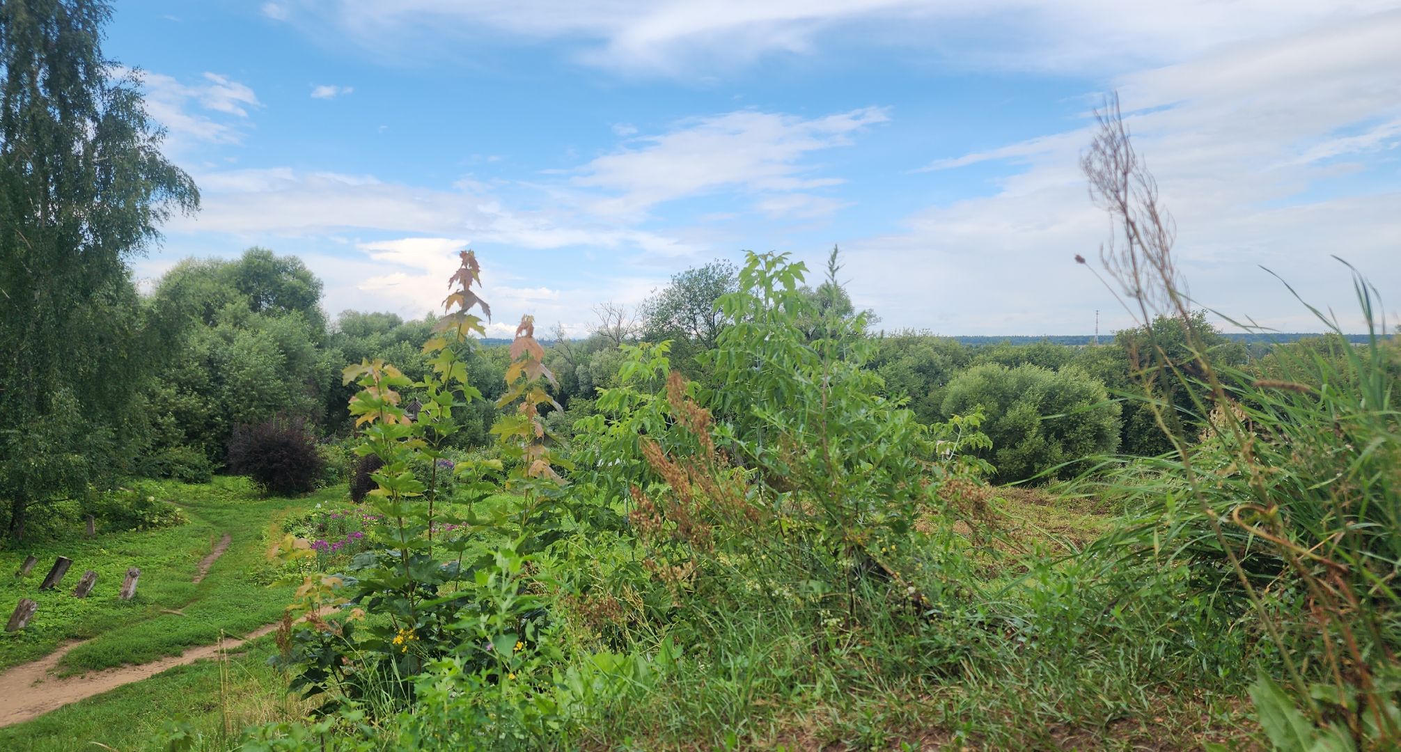 Звенигород, Дунино, Культура, История, Археологические памятники,