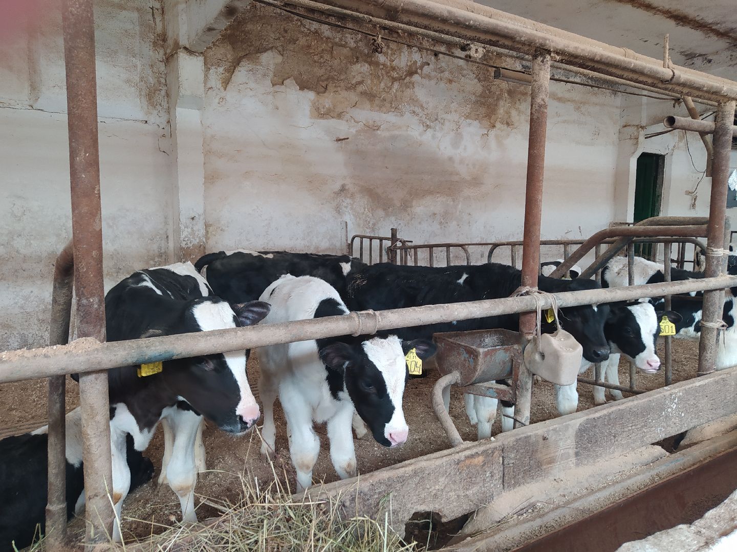 Ферма, сельское хозяйство, предпринимательство, производство