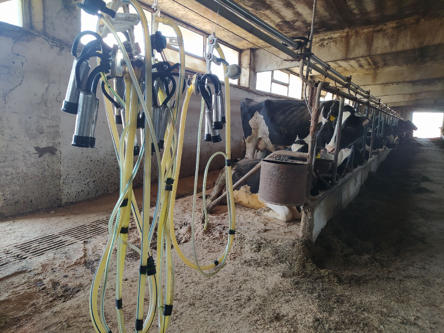 Ферма, сельское хозяйство, предпринимательство, производство