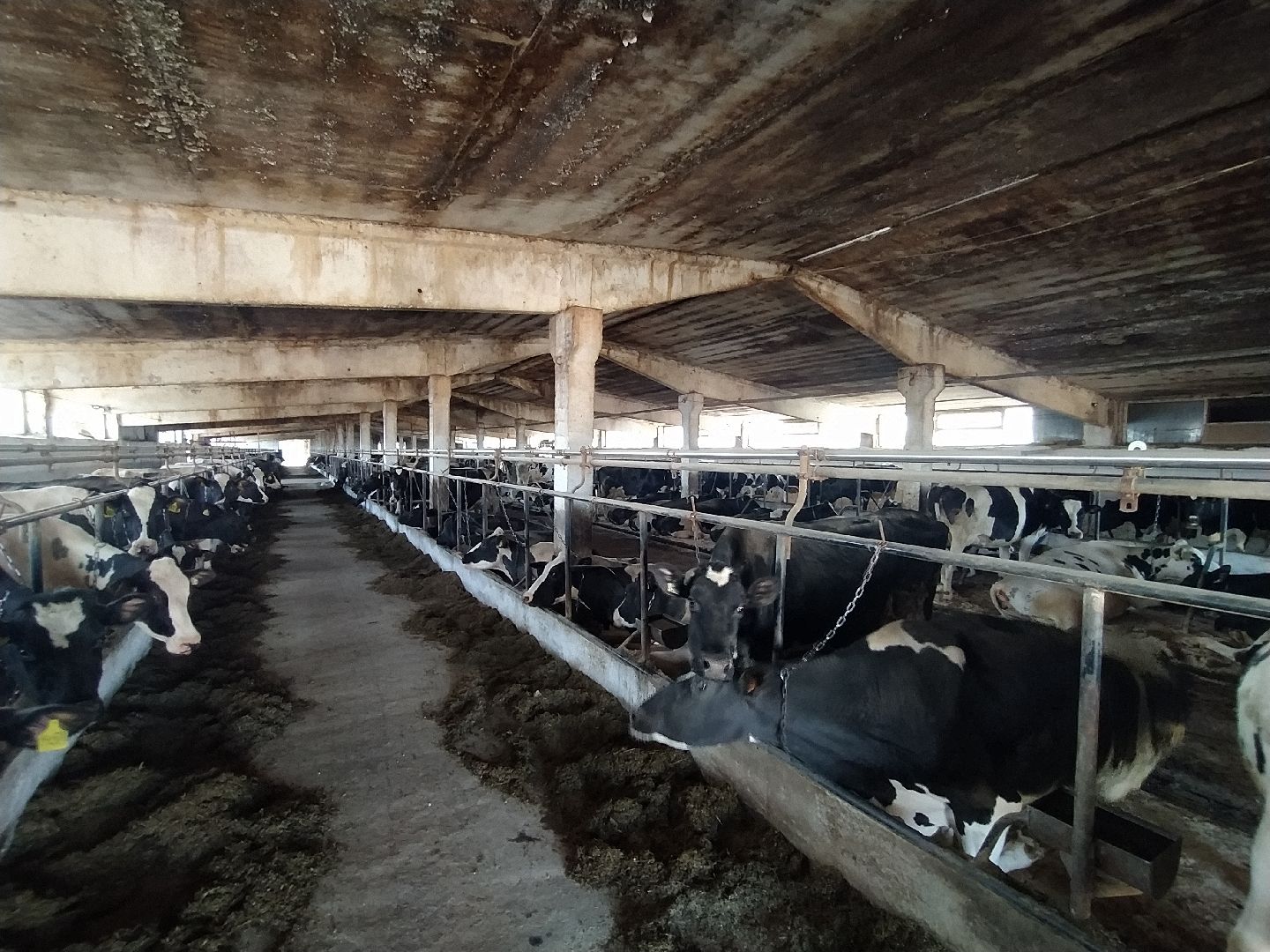 Ферма, сельское хозяйство, предпринимательство, производство