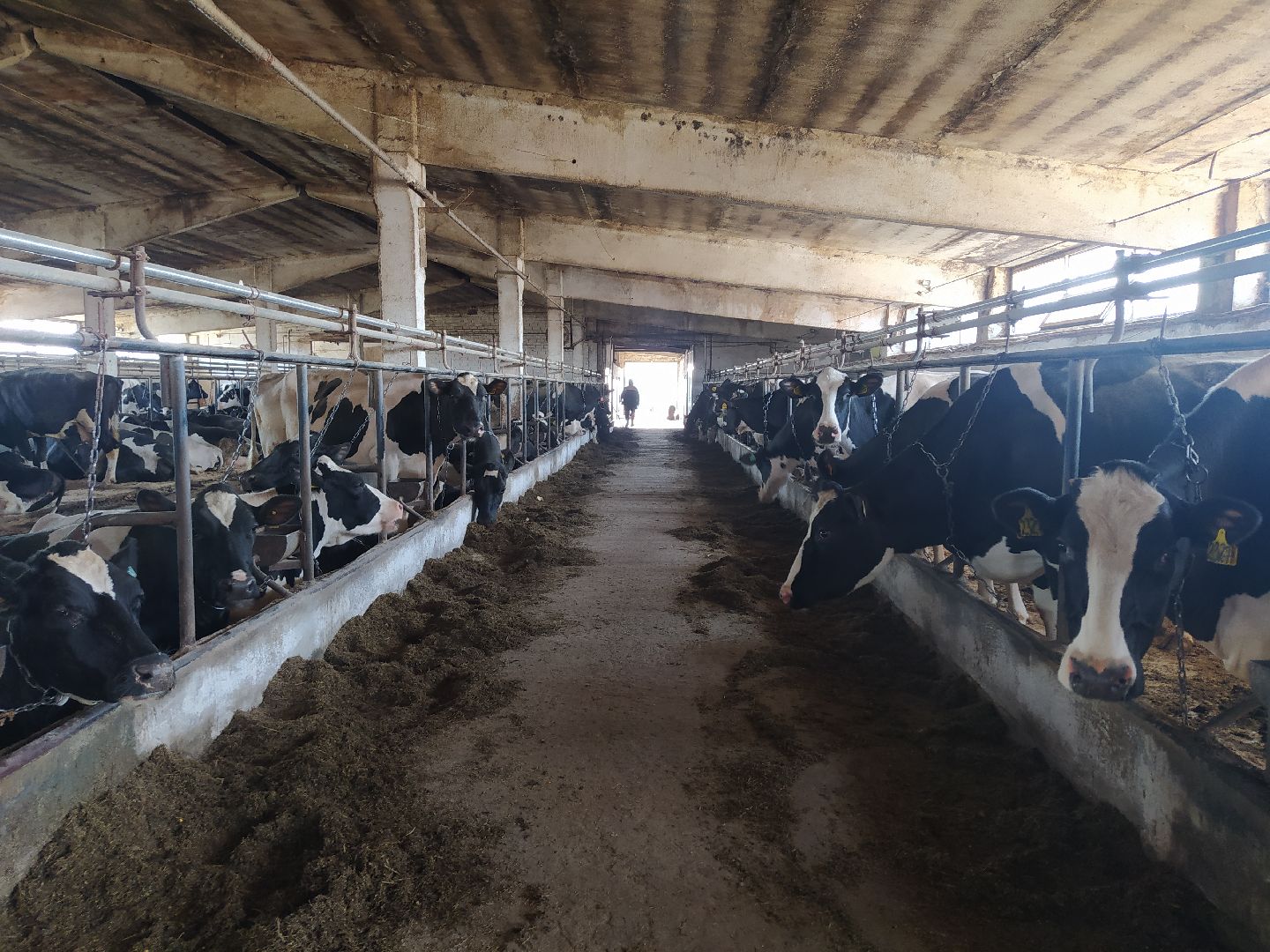 Ферма, сельское хозяйство, предпринимательство, производство