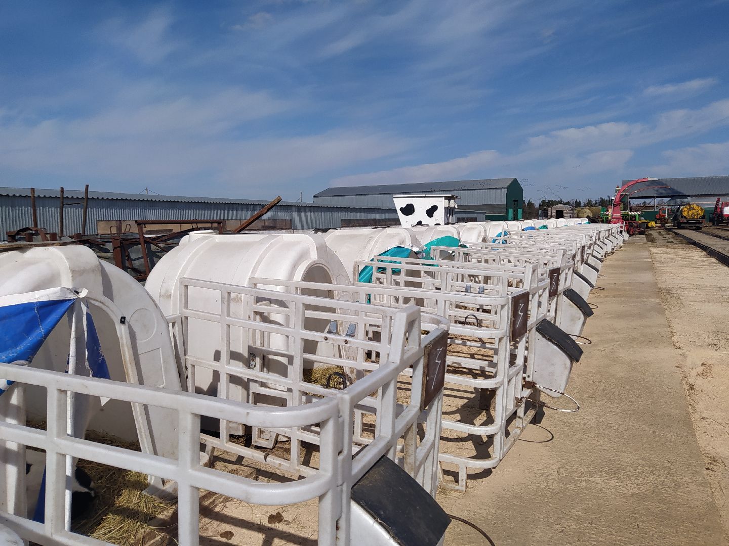 Ферма, сельское хозяйство, предпринимательство, производство