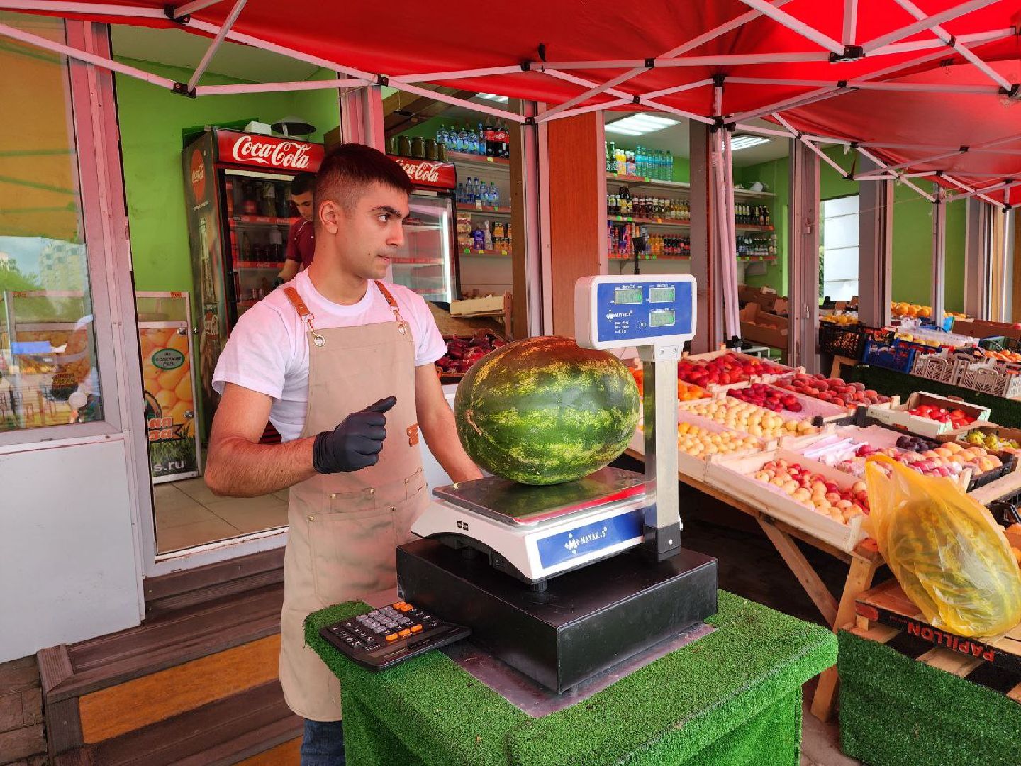 продажа бахчевых, сезон арбузов, дыни и арбузы, торговля в ленинском округе, ленинский округ,