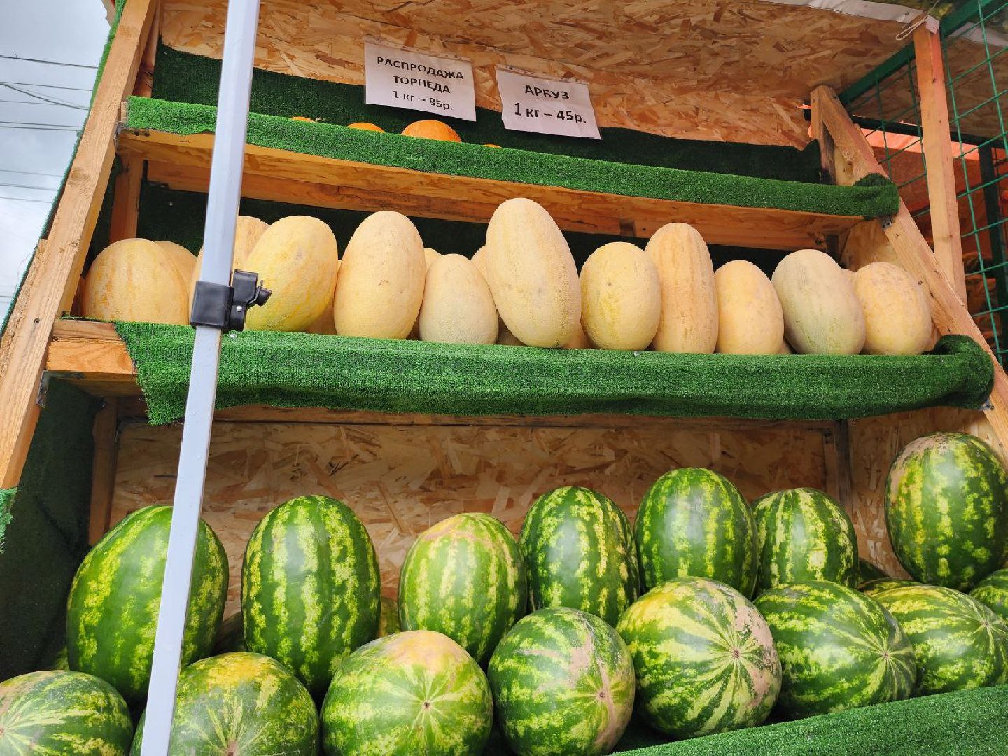 продажа бахчевых, сезон арбузов, дыни и арбузы, торговля в ленинском округе, ленинский округ,