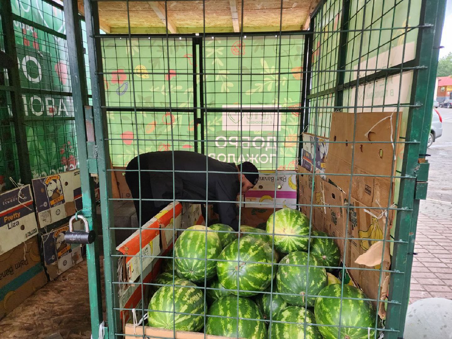 продажа бахчевых, сезон арбузов, дыни и арбузы, торговля в ленинском округе, ленинский округ,