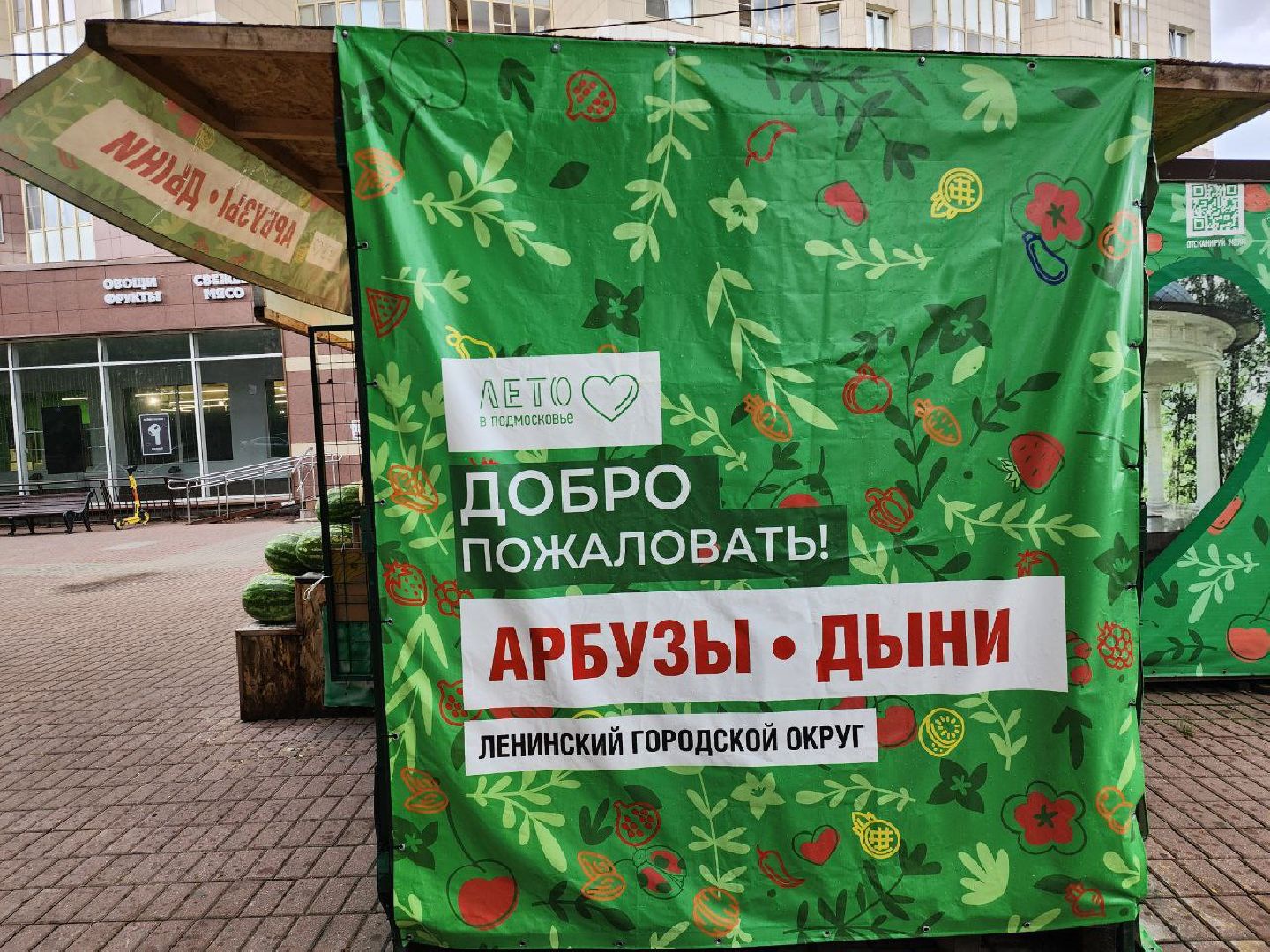 продажа бахчевых, сезон арбузов, дыни и арбузы, торговля в ленинском округе, ленинский округ,