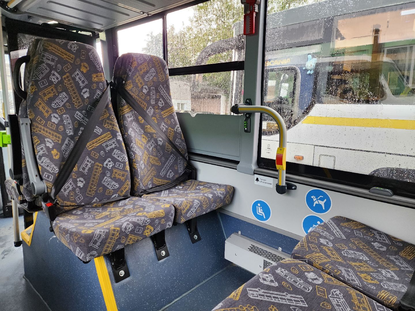 ногинск, общество, жители, транспорт, автобус, новые автобусы, мострансавто,