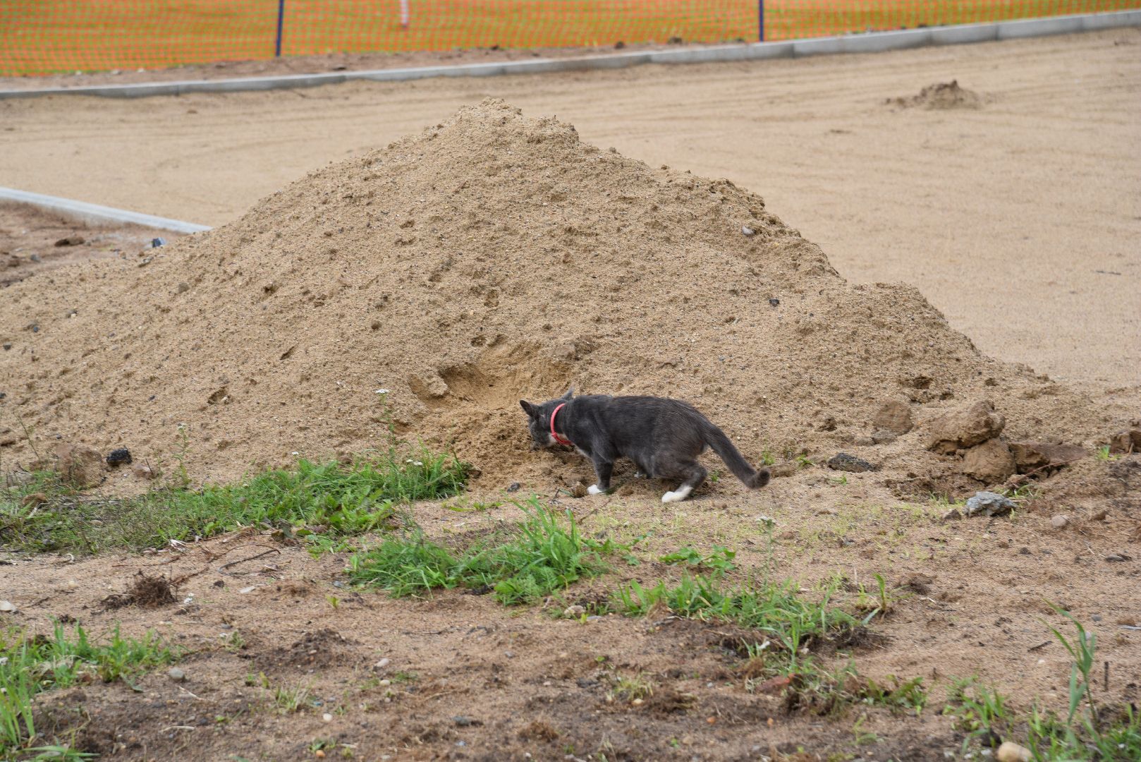 лотошино, ушаково, детская игровая площадка, благоустройство,