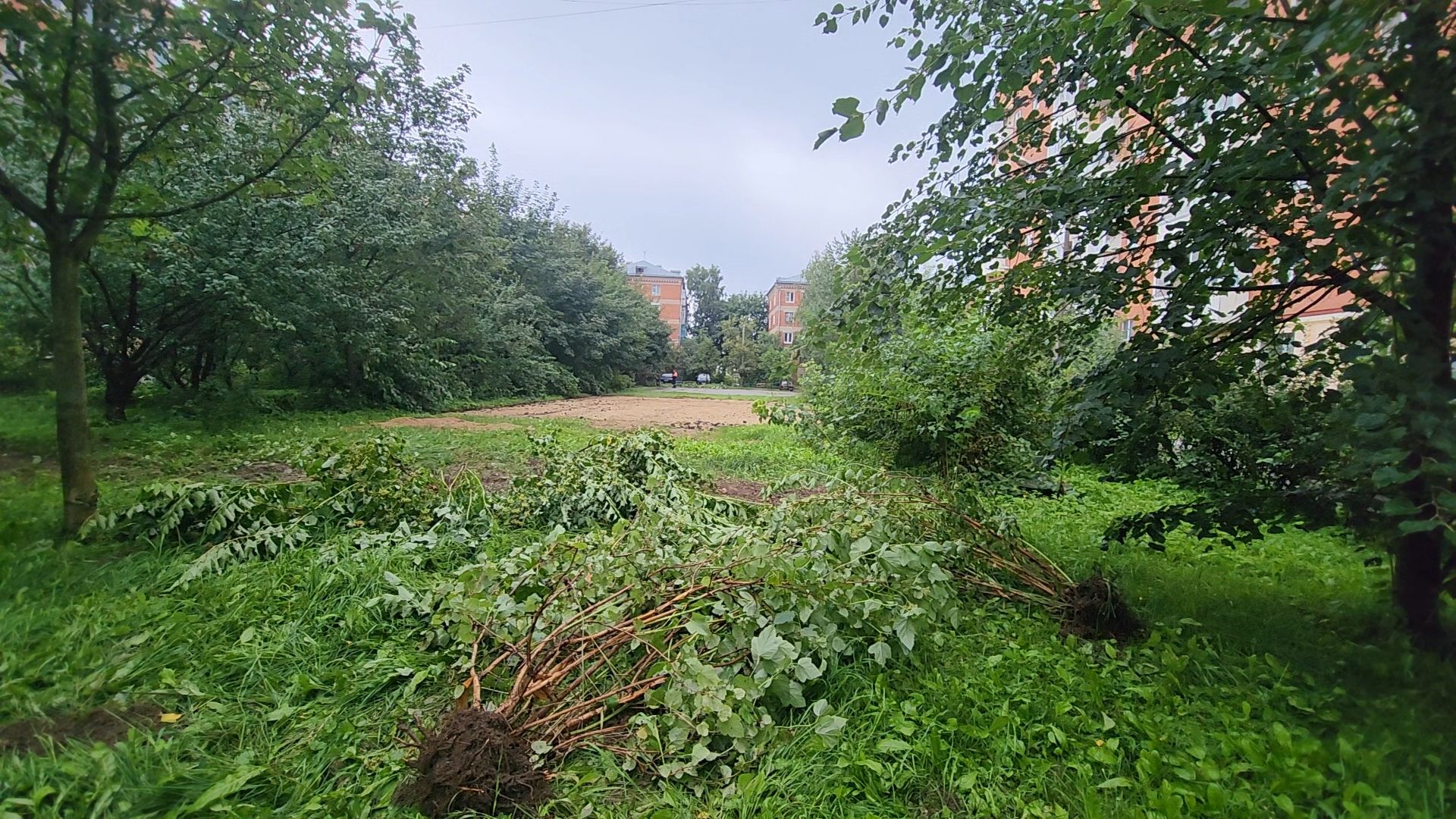 одинцово, голицыно, детская игровая площадка, губернатор,