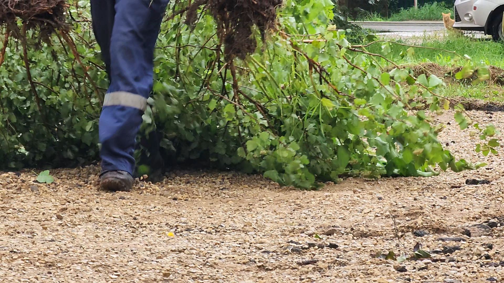 одинцово, голицыно, детская игровая площадка, губернатор,