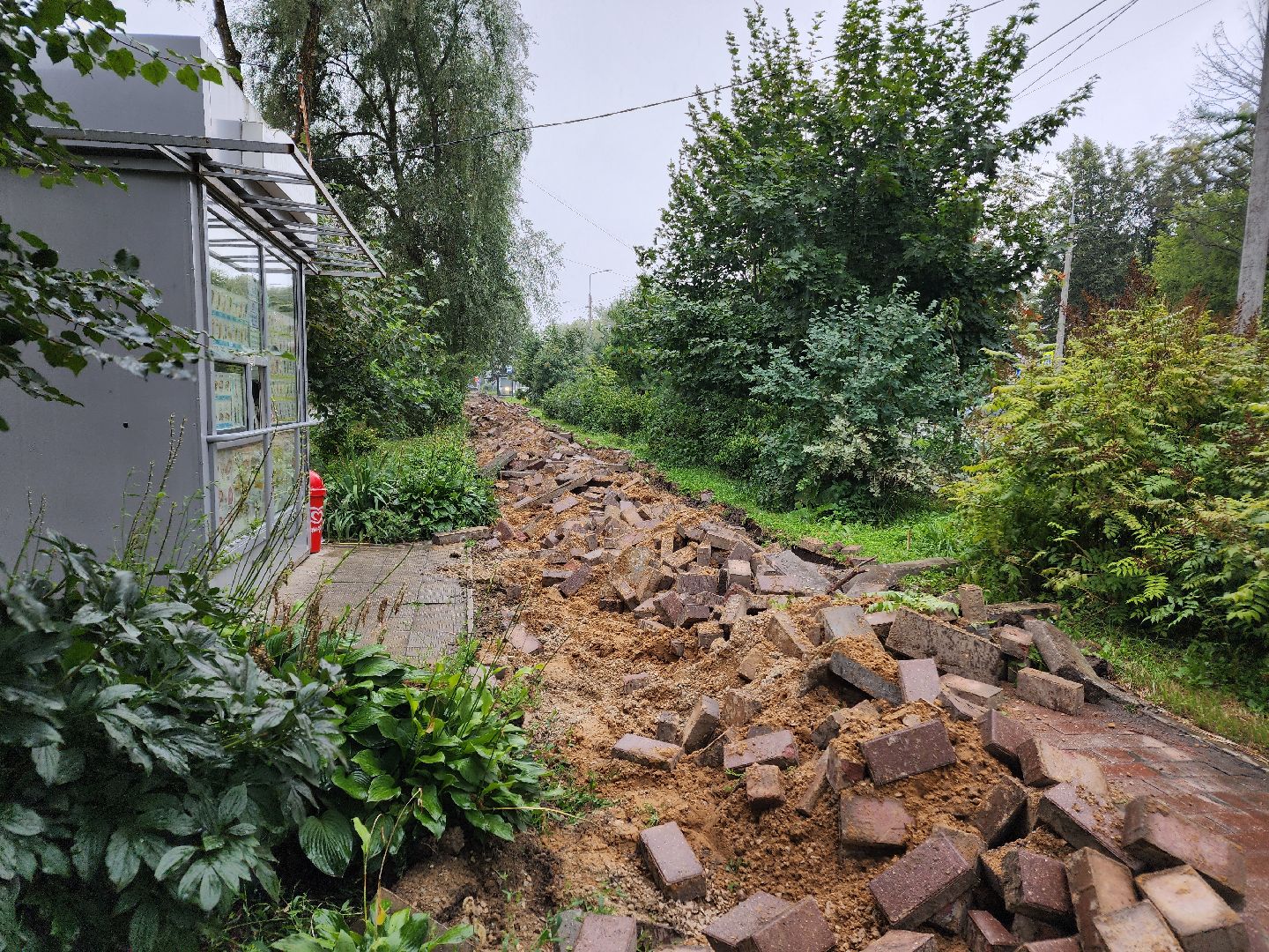 Чехов, улица Чехова, строительство тротуара, дорожный ремонт, нацпроект Безопасные и качественные автодороги, Мосавтодор,