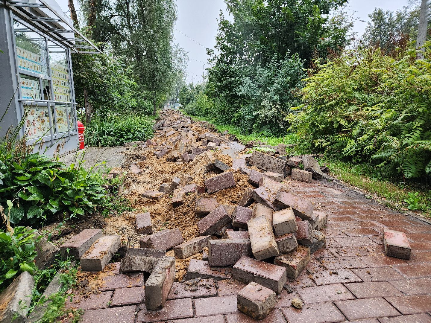 Чехов, улица Чехова, строительство тротуара, дорожный ремонт, нацпроект Безопасные и качественные автодороги, Мосавтодор,