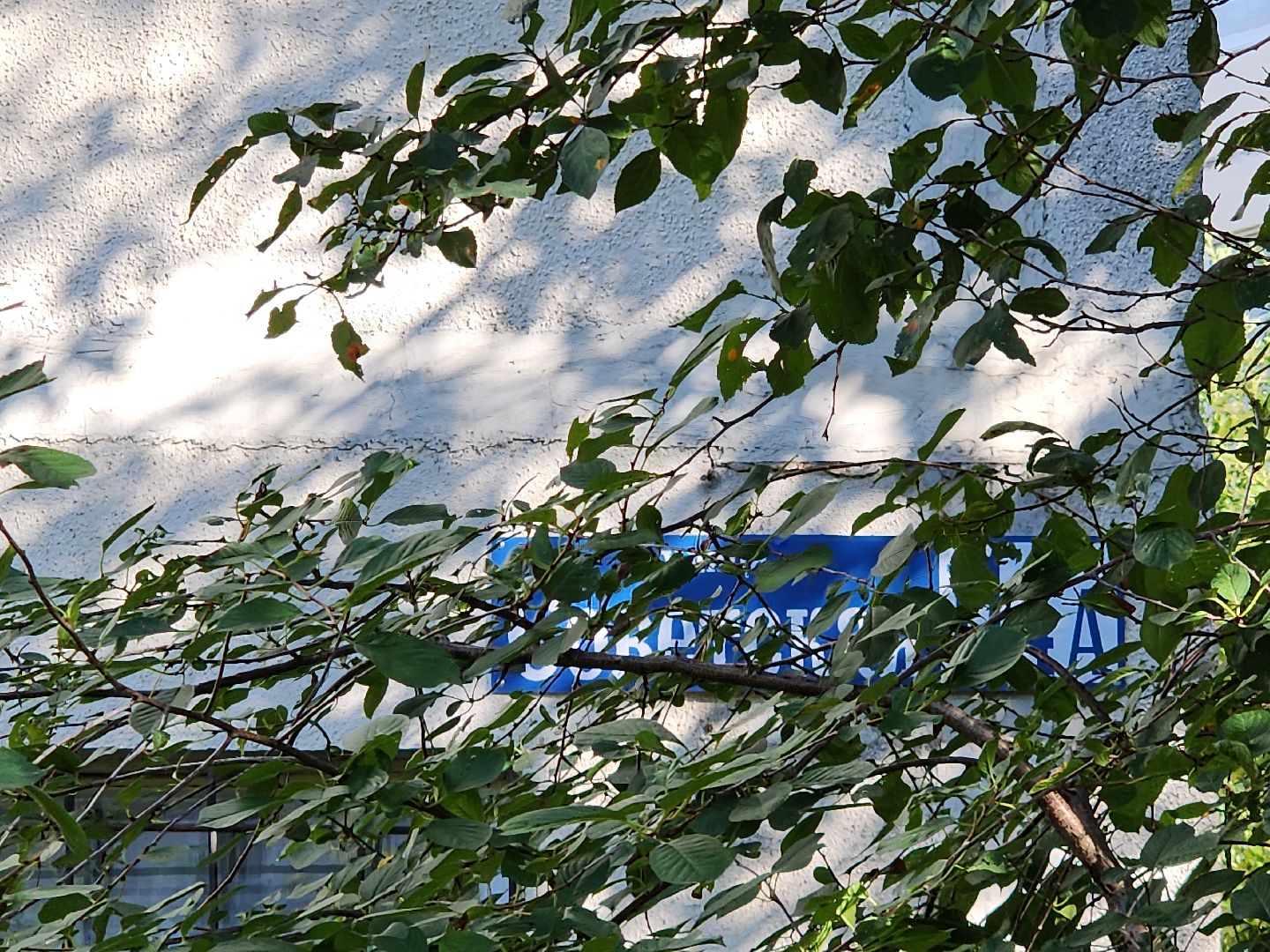 серпухов, благоустройство, парковка,