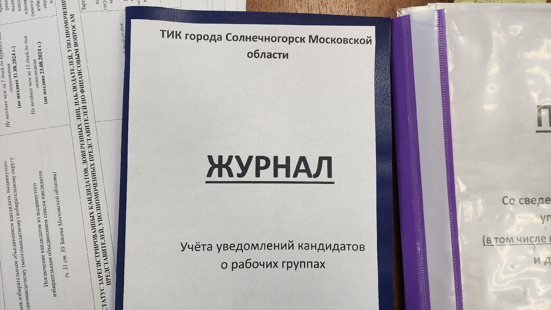 Солнечногорск, выборы, муниципальные выборы, Совет депутатов, ТИК,