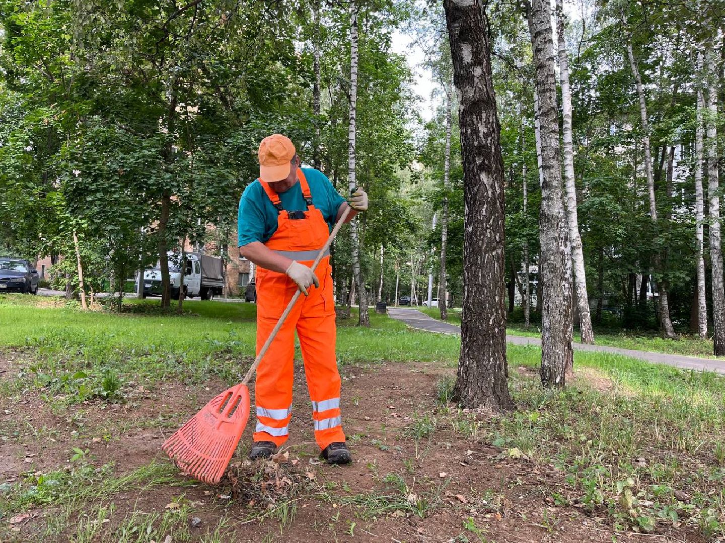пушкино, благоустройство, газон, семена, коммунальная служба, рабочие,