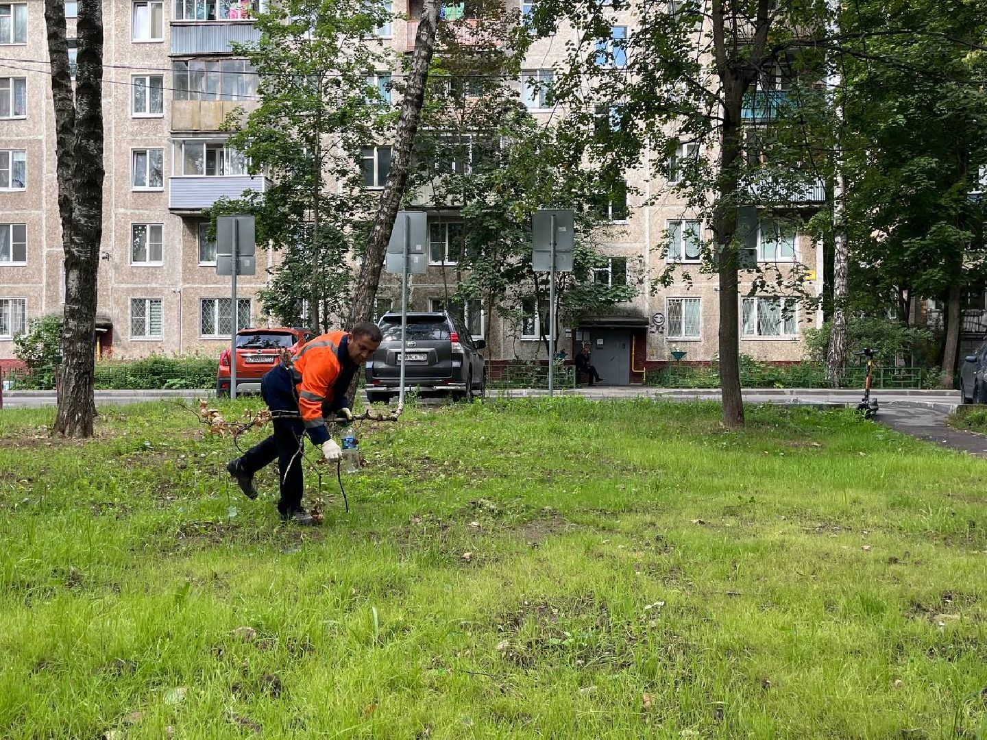 пушкино, благоустройство, газон, семена, коммунальная служба, рабочие,