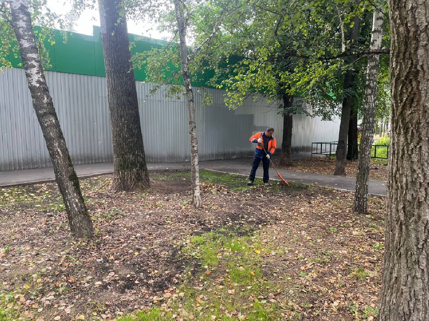 пушкино, благоустройство, газон, семена, коммунальная служба, рабочие,