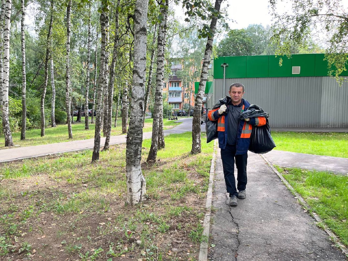 пушкино, благоустройство, газон, семена, коммунальная служба, рабочие,