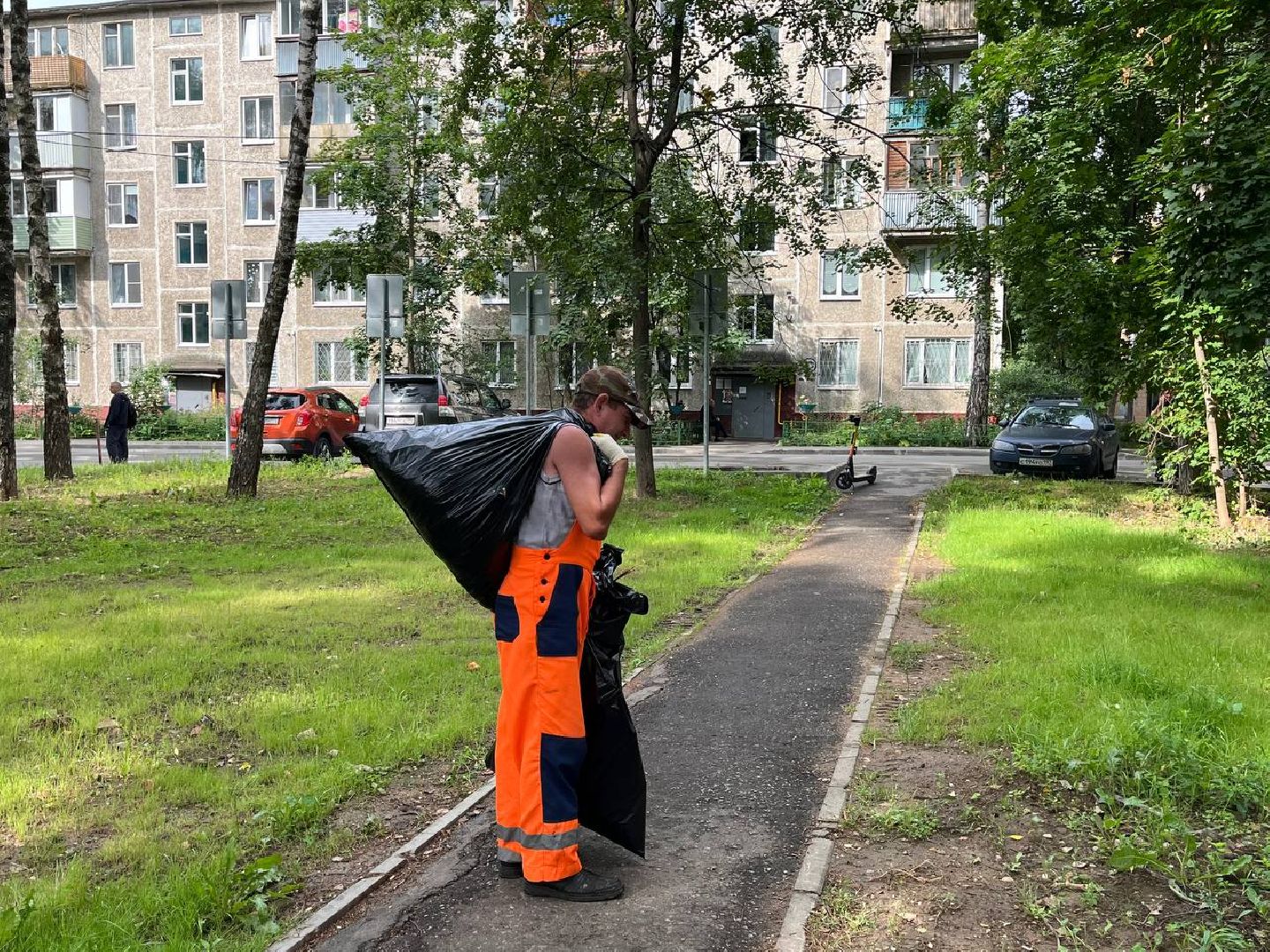 пушкино, благоустройство, газон, семена, коммунальная служба, рабочие,