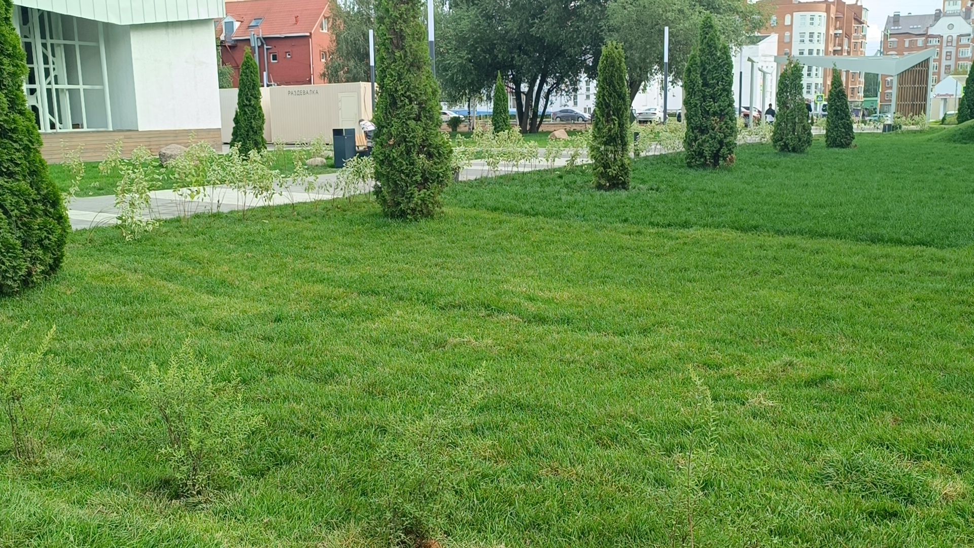 парк, благоустройство, лобня, озеленение,