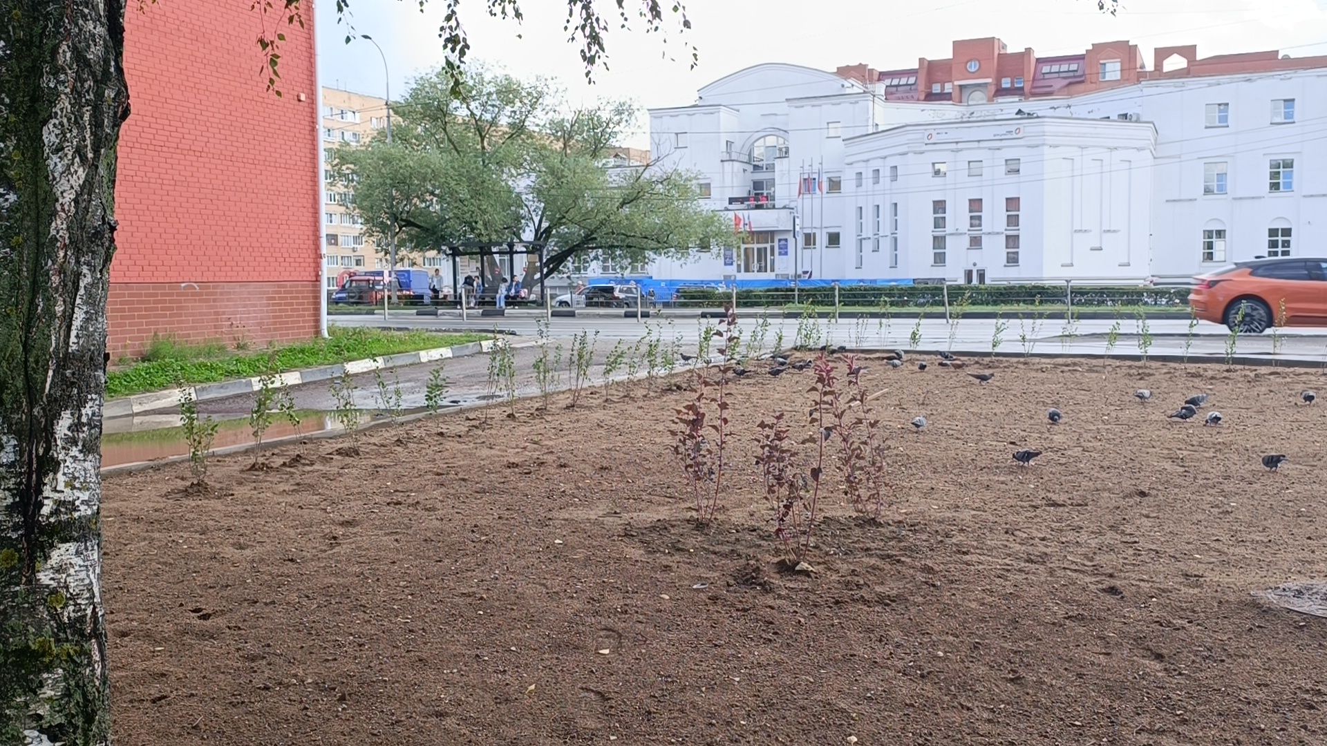 парк, благоустройство, лобня, озеленение,