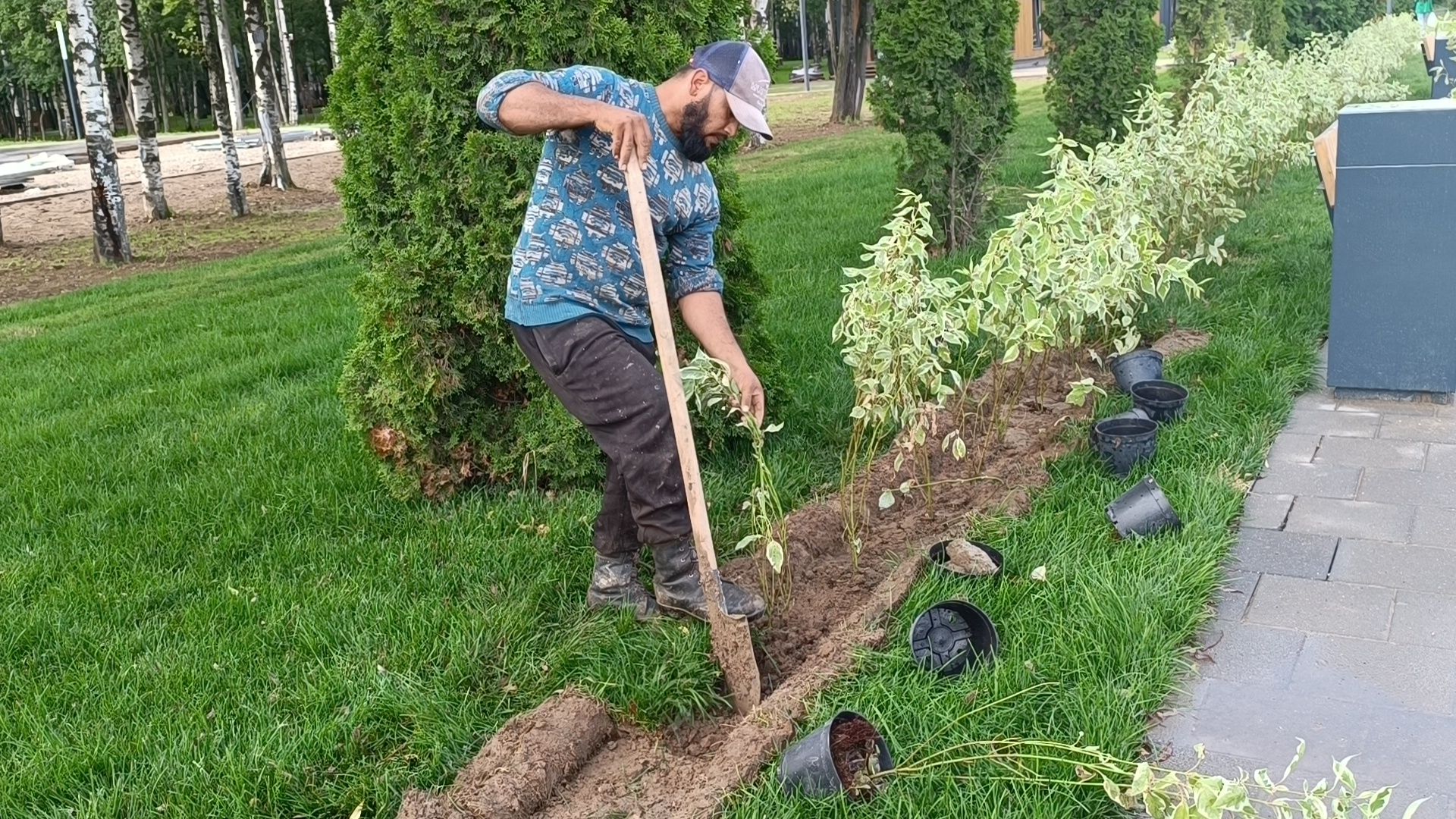парк, благоустройство, лобня, озеленение,