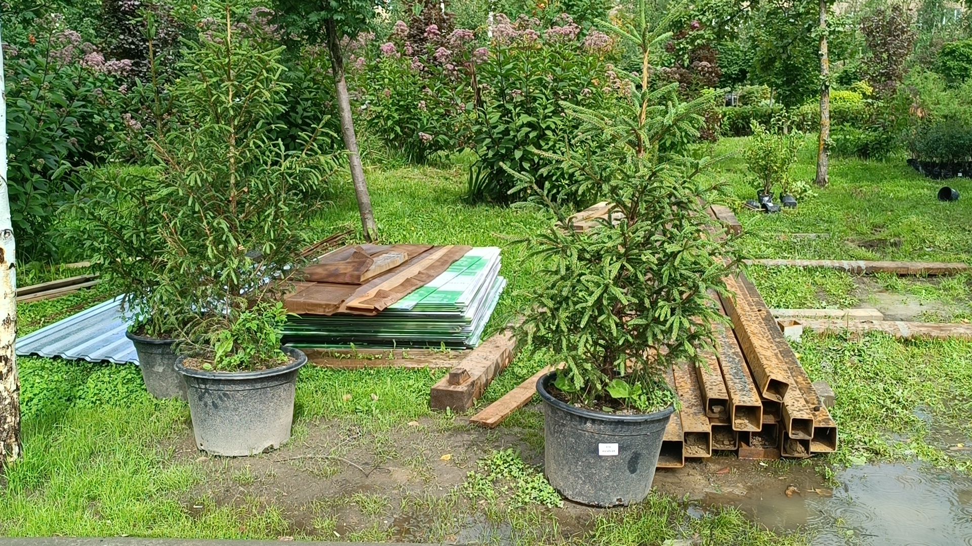 парк, благоустройство, лобня, озеленение,