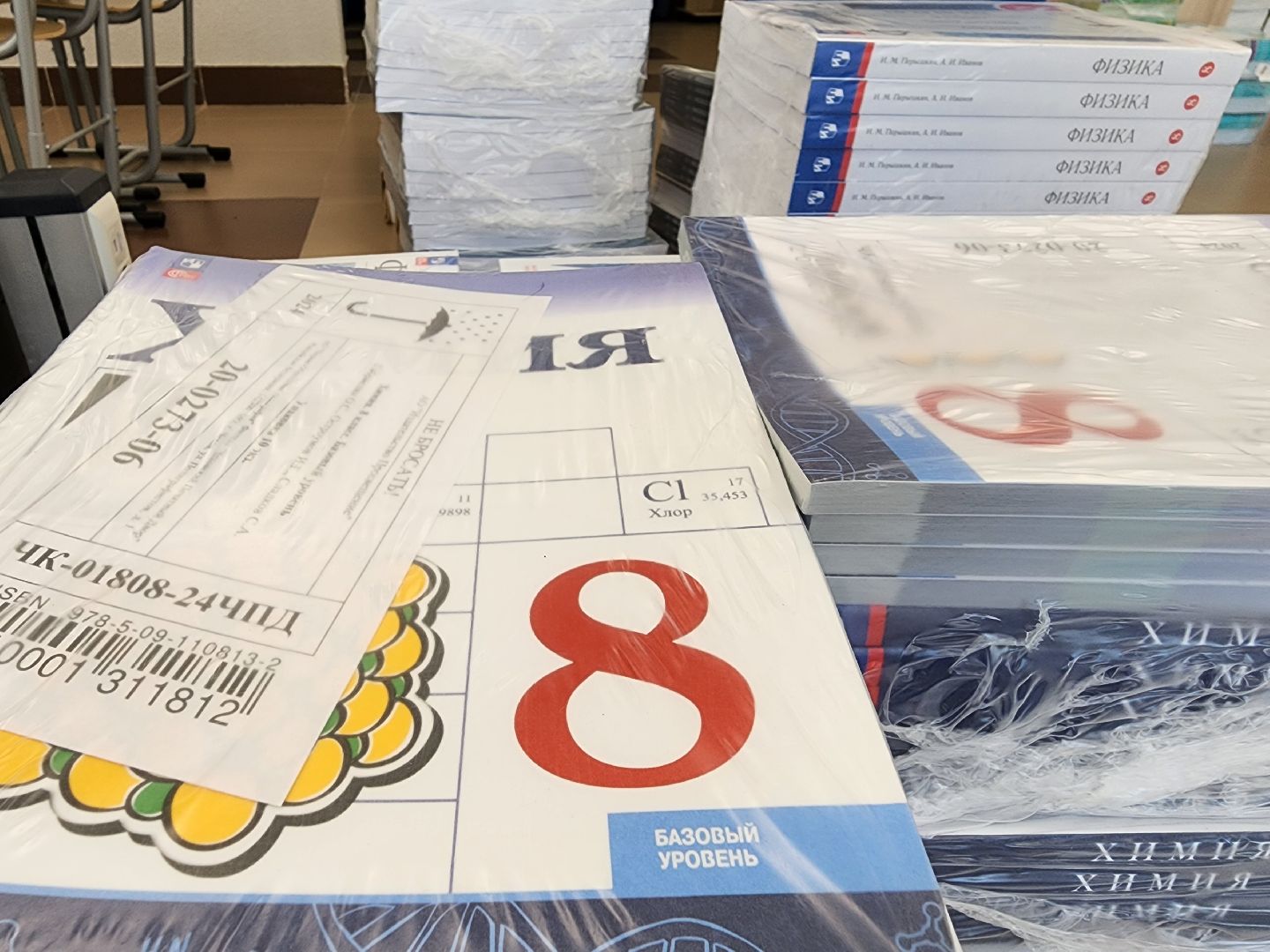 Подольск, Образование, новый учебный год 2024, Библиотека,