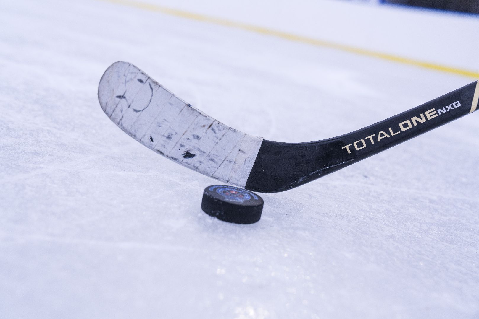 женский хоккей, стадион Авангард, команда Авангард, Домодедово,