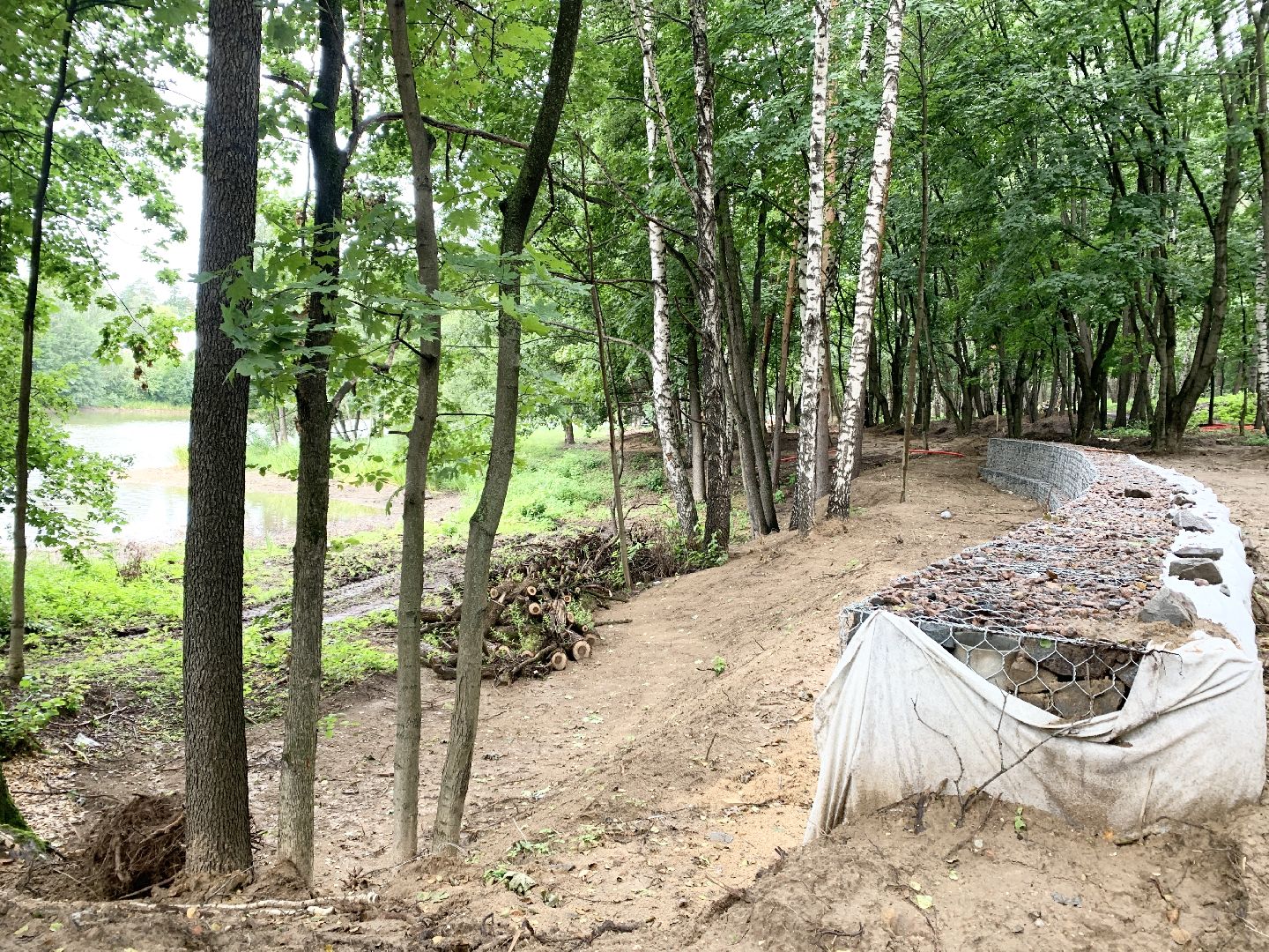 Балашиха, Подмосковье, кучинский лесопарк, Благоустройство лесопарков,