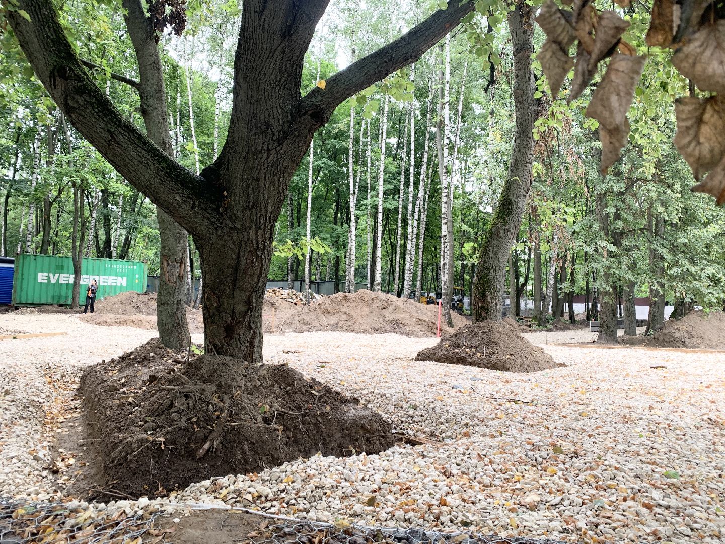 Балашиха, Подмосковье, кучинский лесопарк, Благоустройство лесопарков,