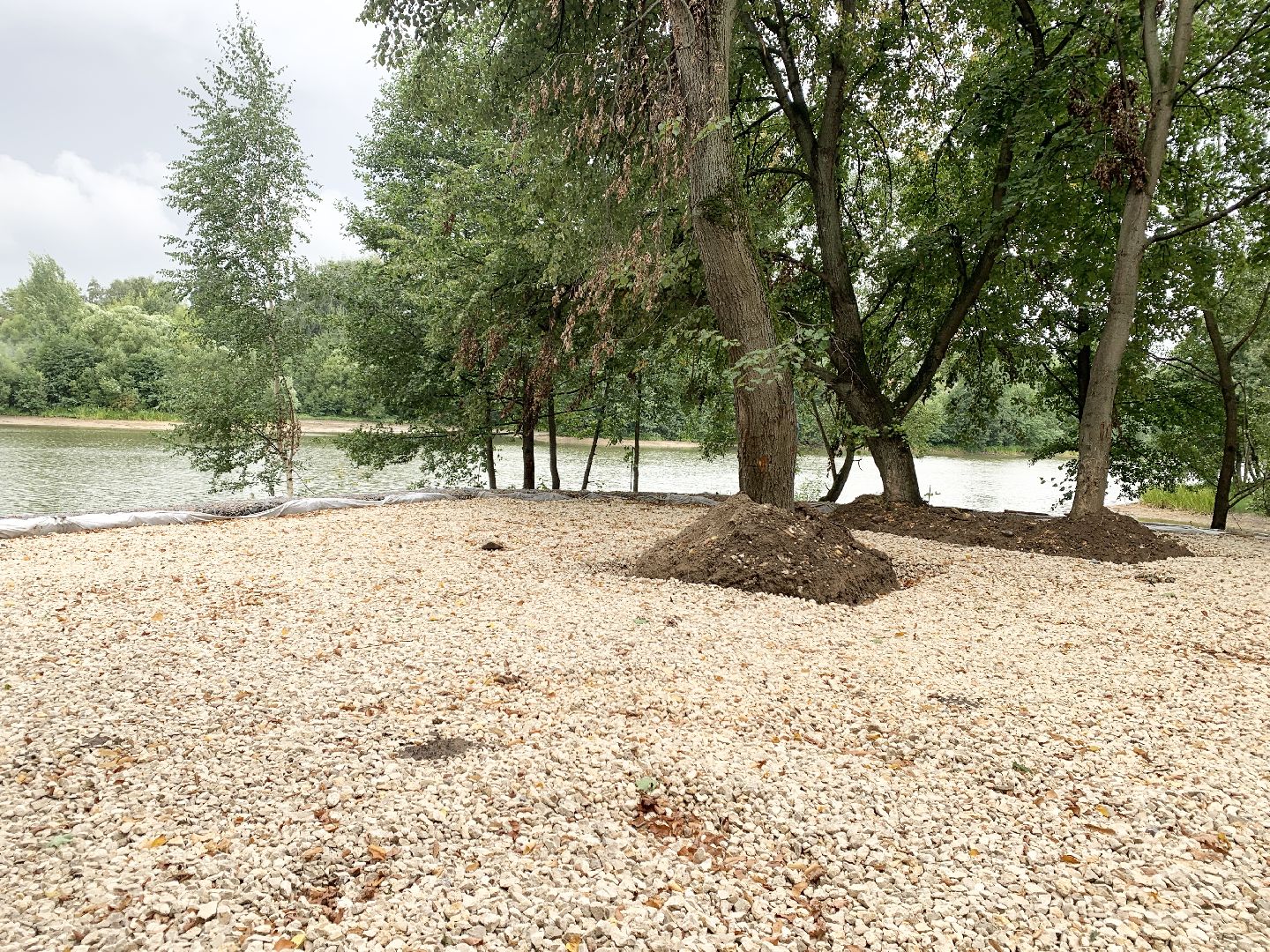 Балашиха, Подмосковье, кучинский лесопарк, Благоустройство лесопарков,