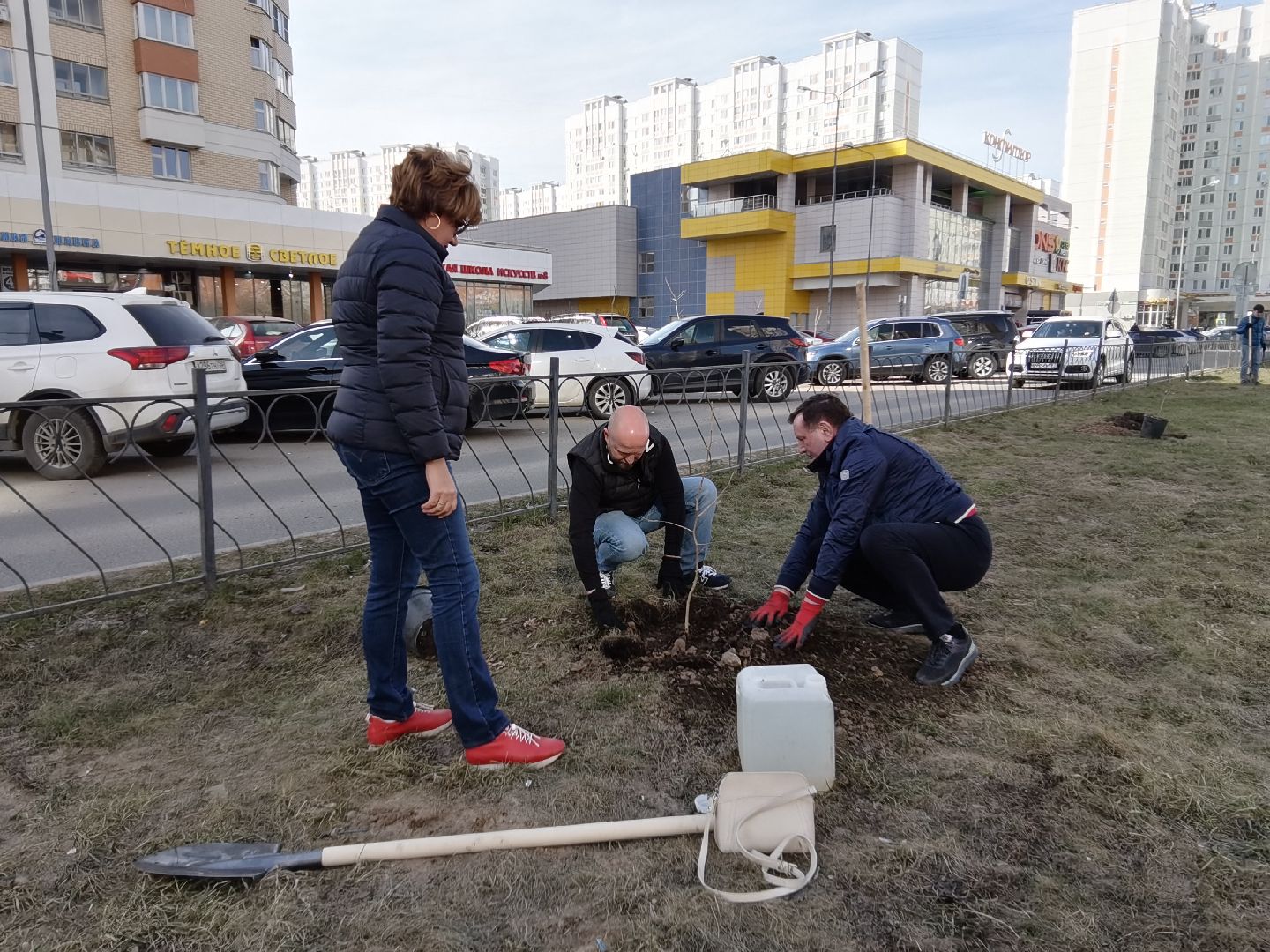 Балашиха, Великая Отечественная Война, гинкго билоба, саженцы гинкго билоба, микрорайон Авиаторов, микрорайон Железнодорожный, бульвар Нестерова, проспект Героев, Управление экологии и природопользования
