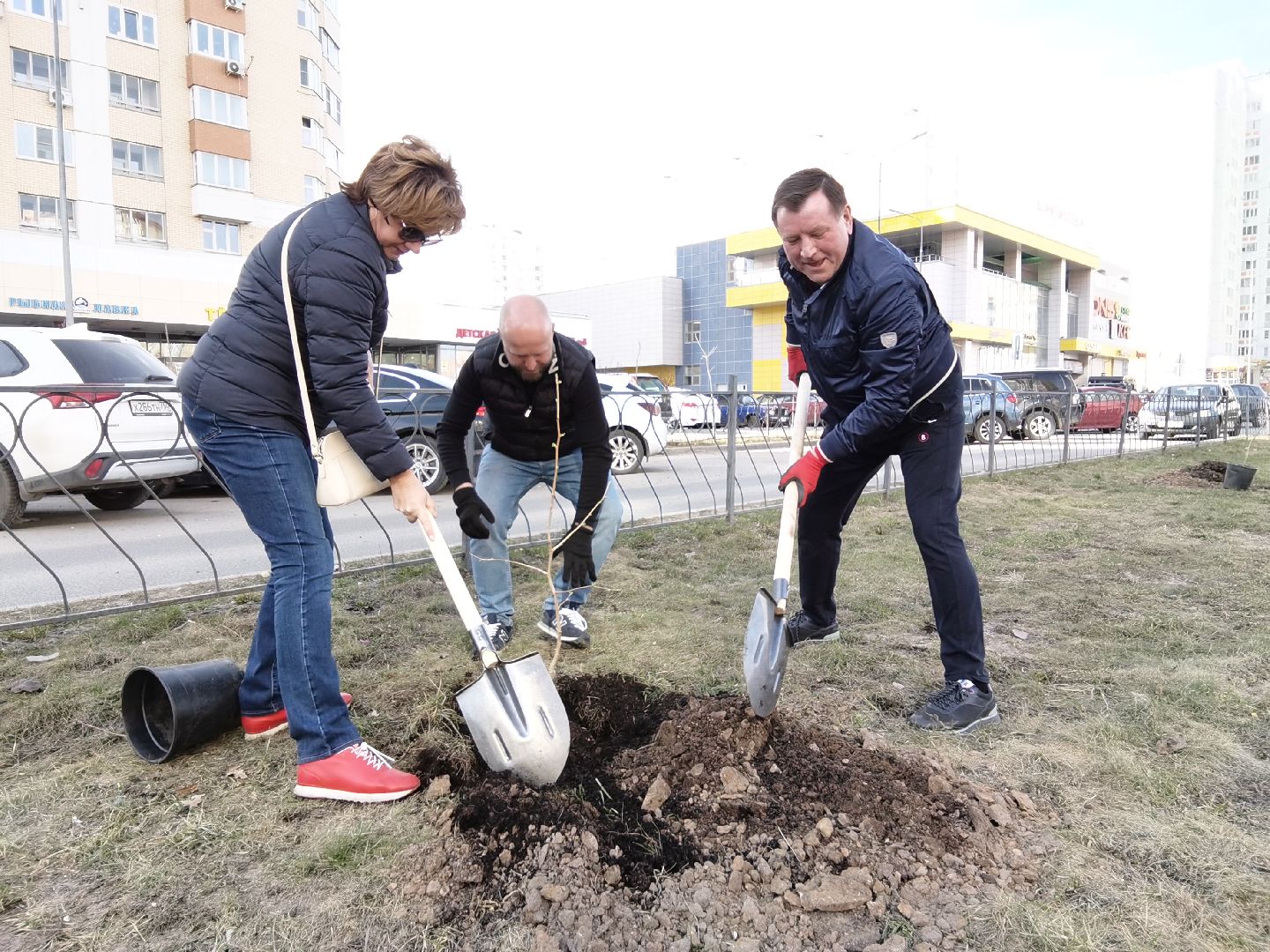 Балашиха, Великая Отечественная Война, гинкго билоба, саженцы гинкго билоба, микрорайон Авиаторов, микрорайон Железнодорожный, бульвар Нестерова, проспект Героев, Управление экологии и природопользования