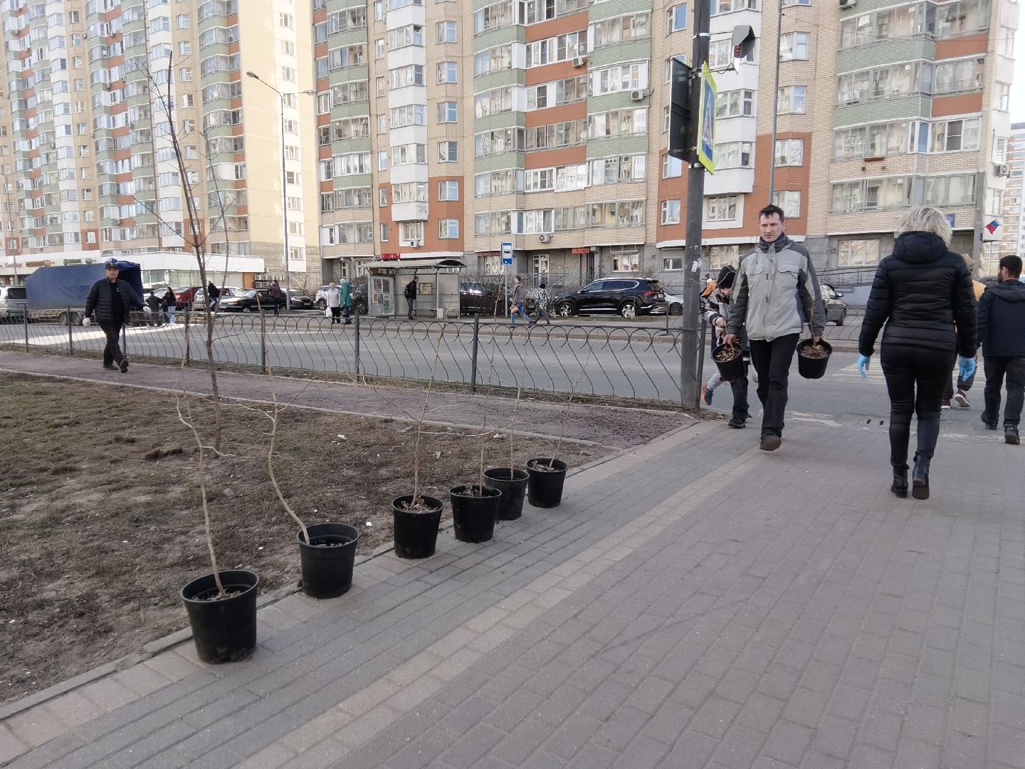 Балашиха, Великая Отечественная Война, гинкго билоба, саженцы гинкго билоба, микрорайон Авиаторов, микрорайон Железнодорожный, бульвар Нестерова, проспект Героев, Управление экологии и природопользования