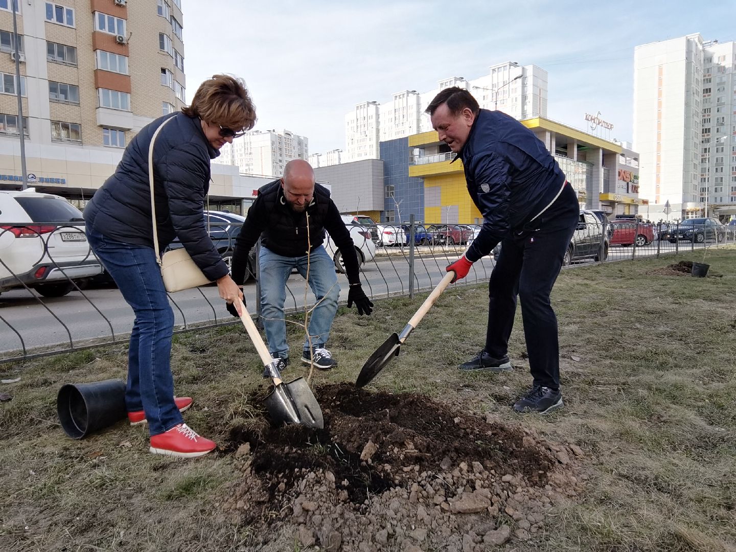 Балашиха, Великая Отечественная Война, гинкго билоба, саженцы гинкго билоба, микрорайон Авиаторов, микрорайон Железнодорожный, бульвар Нестерова, проспект Героев, Управление экологии и природопользования