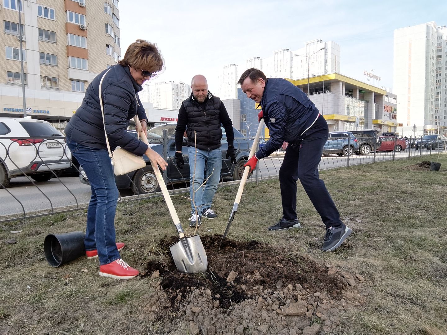 Балашиха, Великая Отечественная Война, гинкго билоба, саженцы гинкго билоба, микрорайон Авиаторов, микрорайон Железнодорожный, бульвар Нестерова, проспект Героев, Управление экологии и природопользования