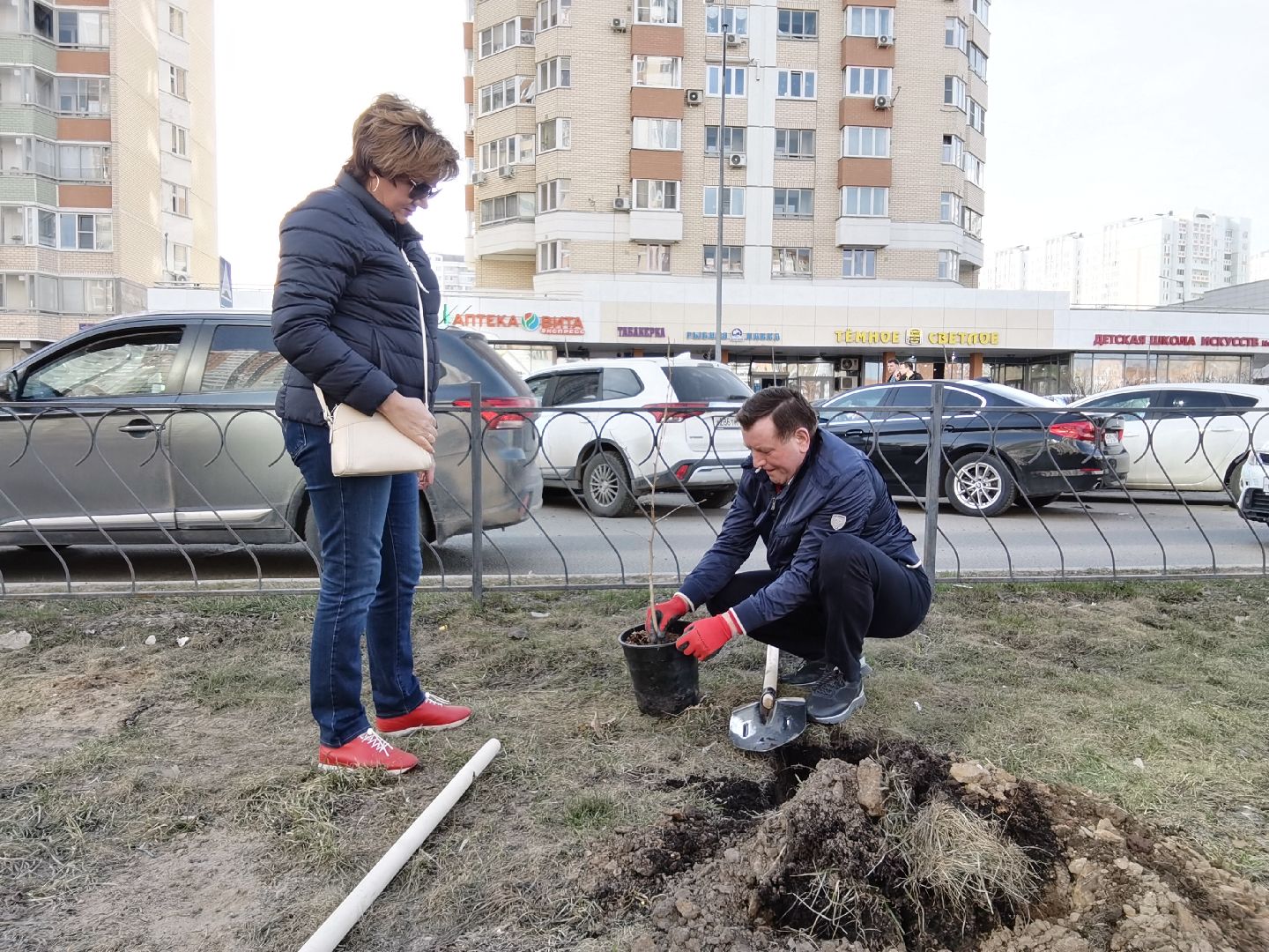 Балашиха, Великая Отечественная Война, гинкго билоба, саженцы гинкго билоба, микрорайон Авиаторов, микрорайон Железнодорожный, бульвар Нестерова, проспект Героев, Управление экологии и природопользования