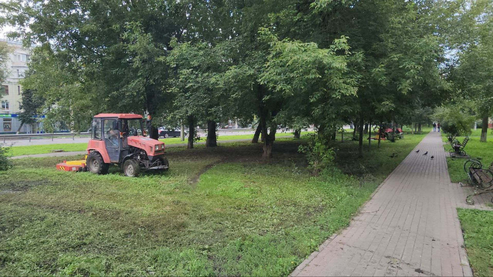 Люберцы, покос травы, территория, скверы,