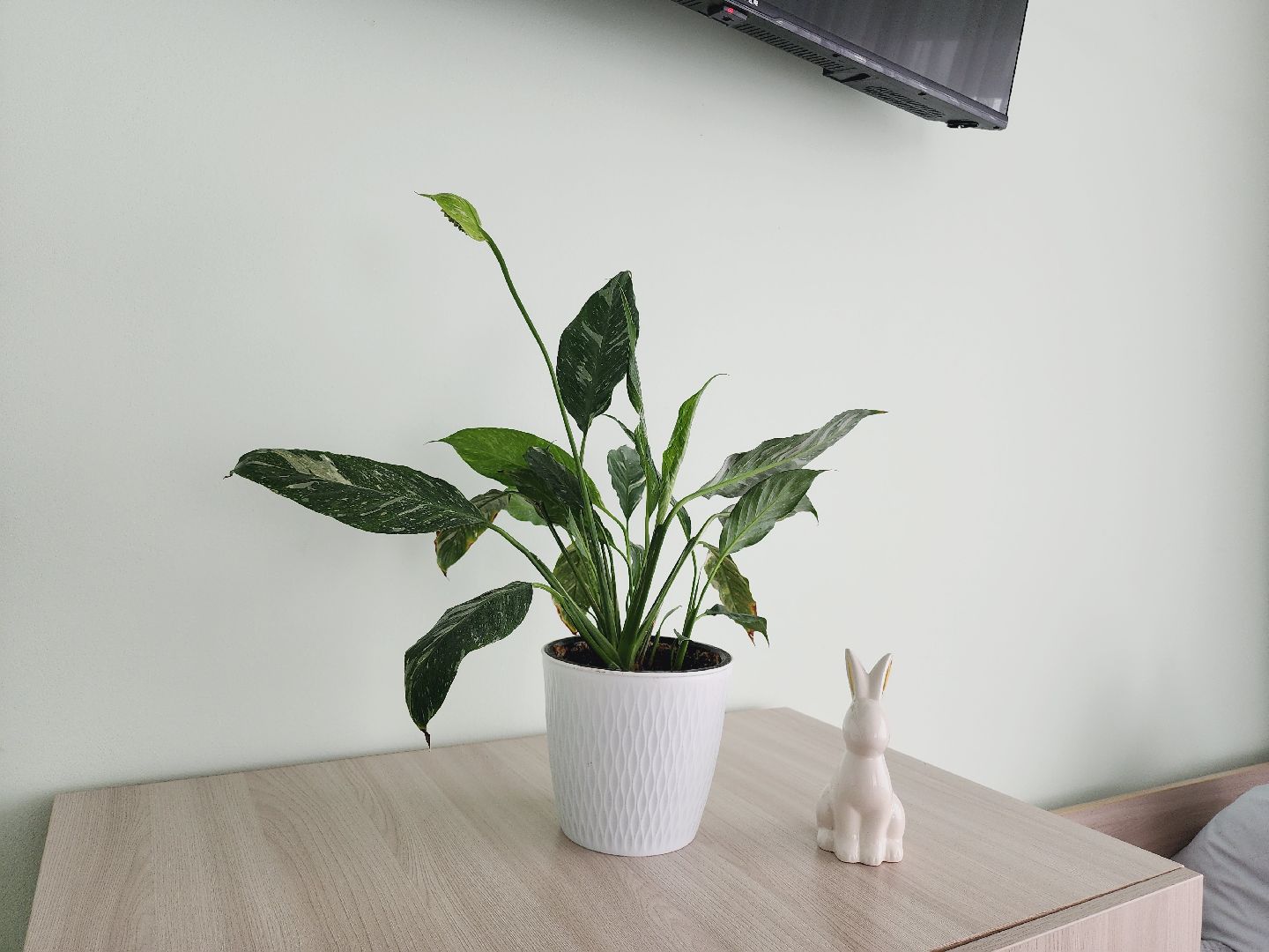 Егорьевск, добрый дом, ремонт, Подмосковье, Полбино,