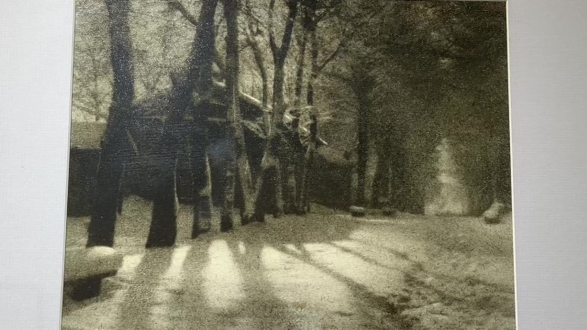 Реутов, музей, выставка, фотоработы, Николай Андреев, Серпухов,