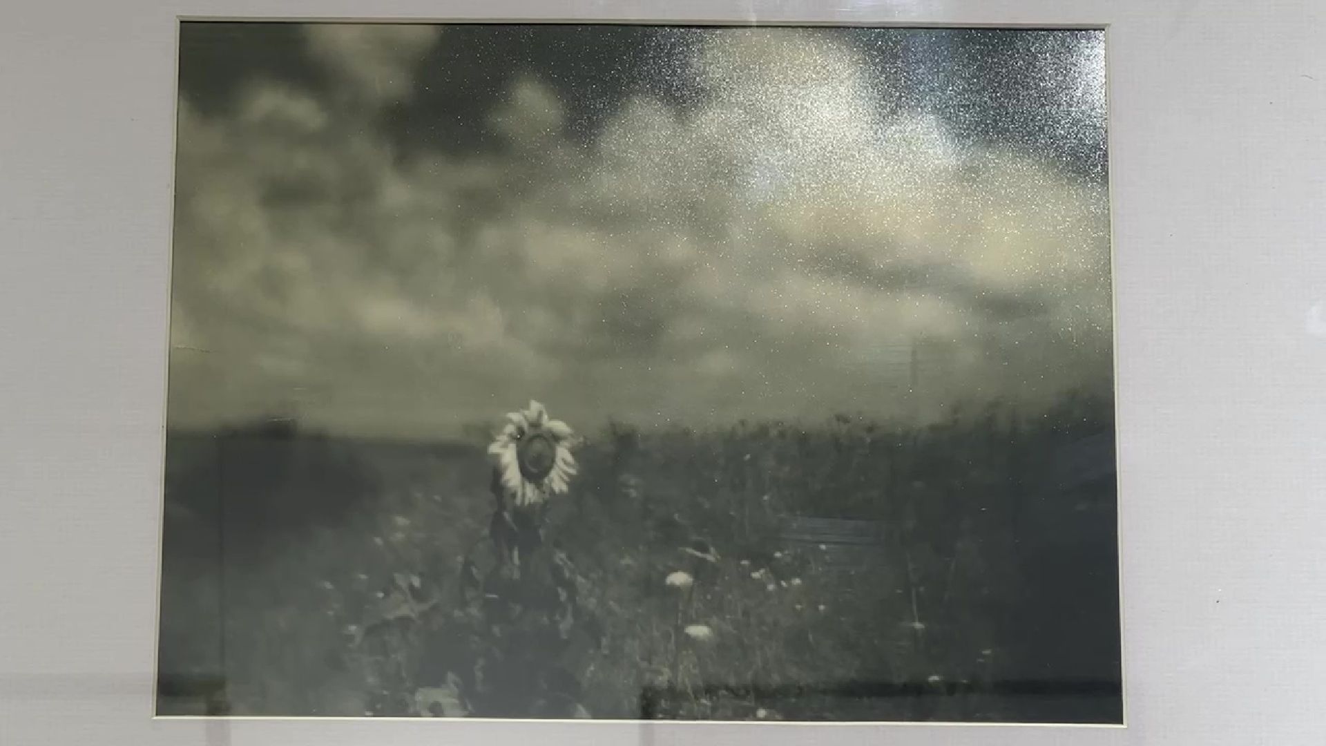 Реутов, музей, выставка, фотоработы, Николай Андреев, Серпухов,