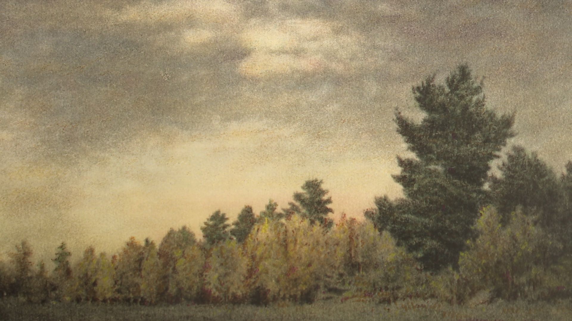 Реутов, музей, выставка, фотоработы, Николай Андреев, Серпухов,